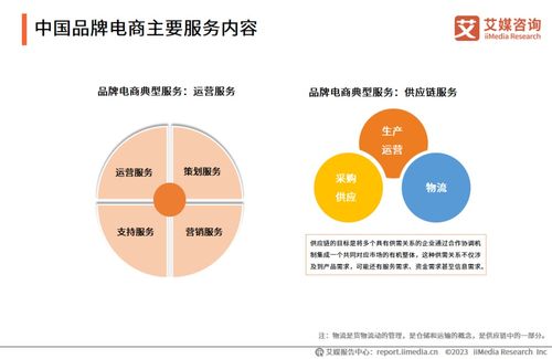 2023年中國(guó)品牌電商服務(wù)行業(yè)研究報(bào)告 信息咨詢(xún)服務(wù)引領(lǐng)新增長(zhǎng)